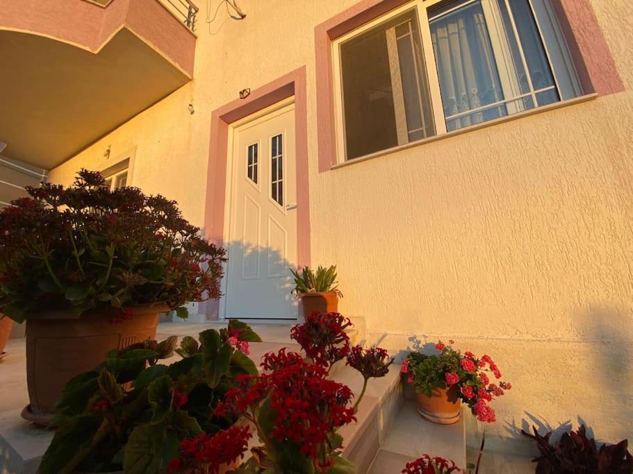 Guesthouse Xhimi Ksamil Dış mekan fotoğraf