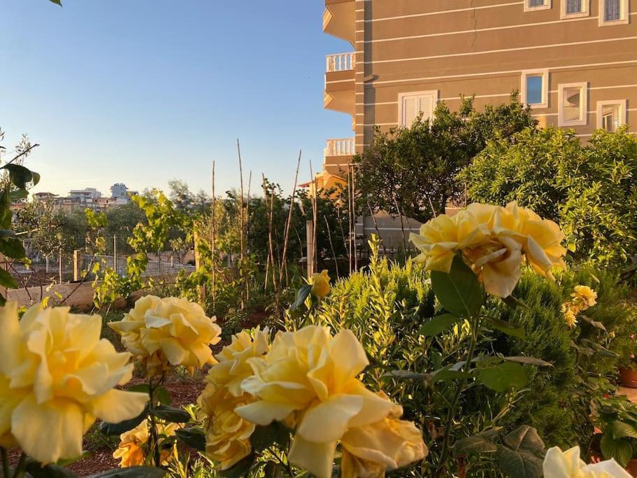 Guesthouse Xhimi Ksamil Dış mekan fotoğraf