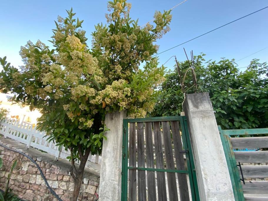 Guesthouse Xhimi Ksamil Dış mekan fotoğraf