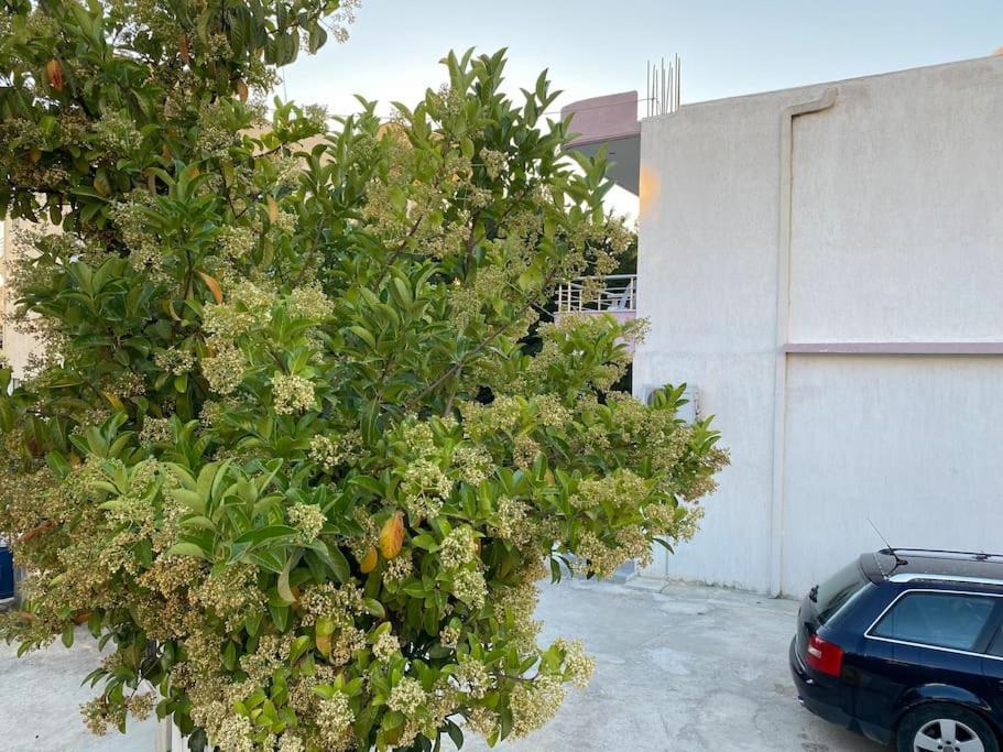Guesthouse Xhimi Ksamil Dış mekan fotoğraf