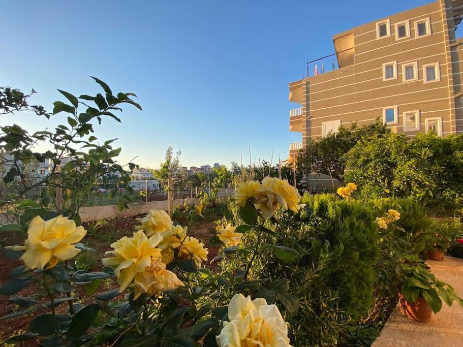 Guesthouse Xhimi Ksamil Dış mekan fotoğraf