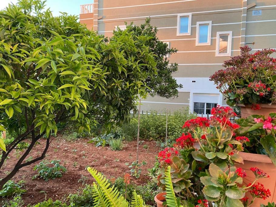 Guesthouse Xhimi Ksamil Dış mekan fotoğraf